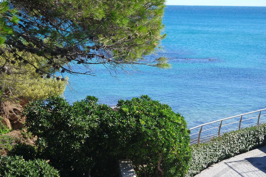 Perle De La Saint Aygulf